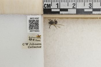 Media type: image;   Entomology 773041 Aspect: Labels